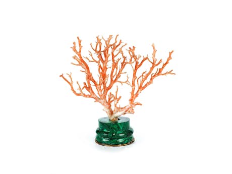 Korallenbaum auf Malachitbasis